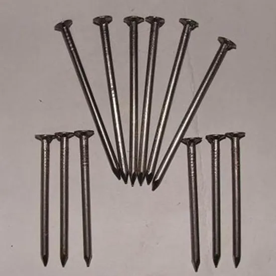 Polished Common Wire Nail