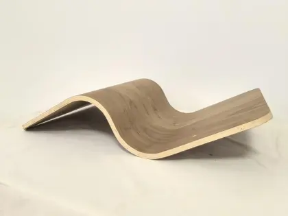 steaming and bending wood