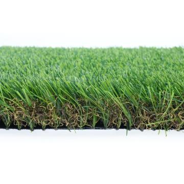 Karpet rumput taman lansekap