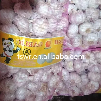 2020 New Season China Fresh Garlic