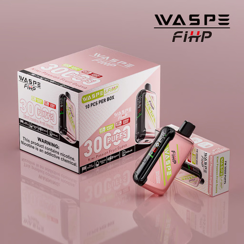 WASPE FW-30000 Puffs Vape Dual Mesh Netherlands