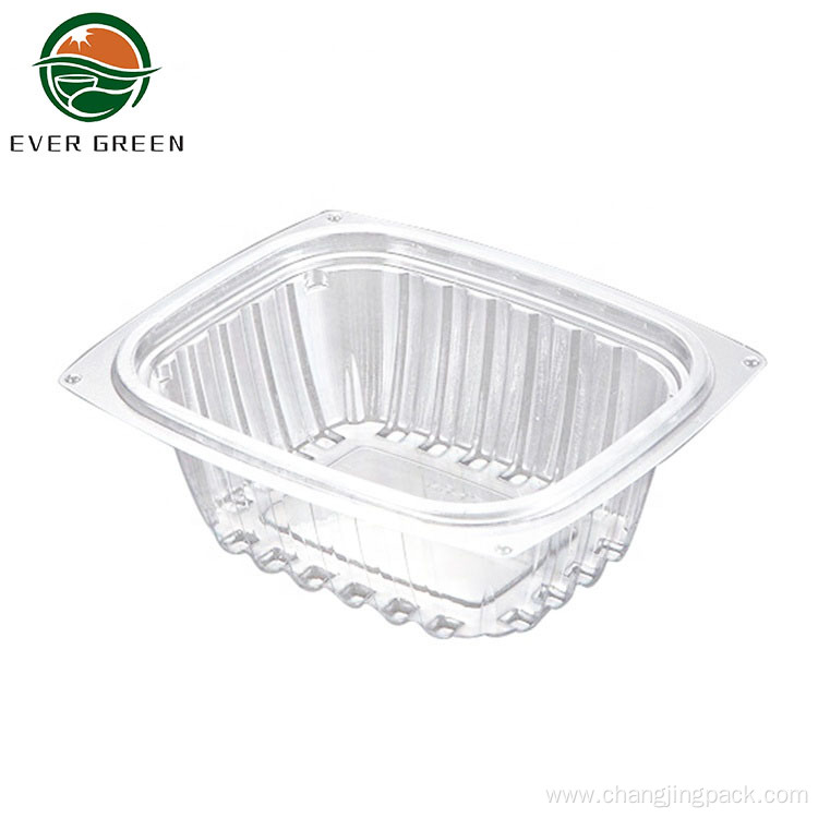 Transparent Plastic Dry Fruit Container Packaging Container