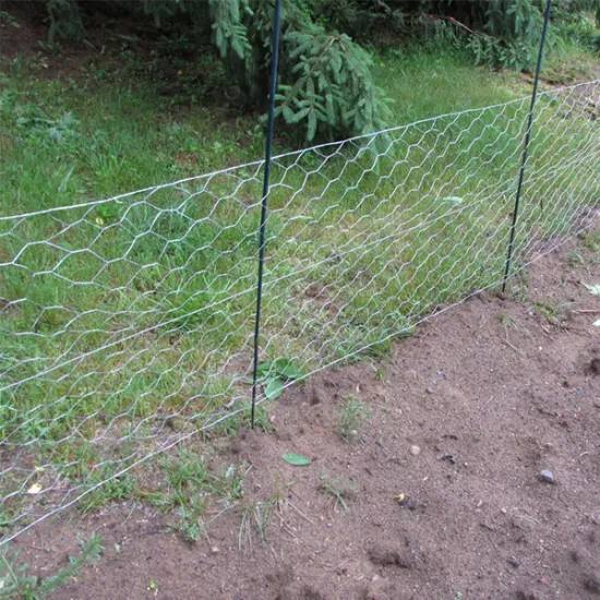 Low Price Hexagonal Chicken Wire Mesh Rabbit Fencing