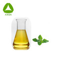 Peppermint Leaf Extract Powder 10:1