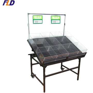 Customized Grocery Shelves & Supermarket Equipment - Vegetable Racks & Stands
