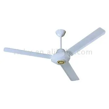 Ceiling Fans