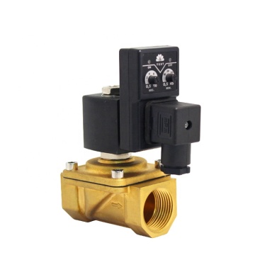 Adjustable Gas Solenoid Valve with Digit Timer - 12V, 10 Bar, NPT 1/4