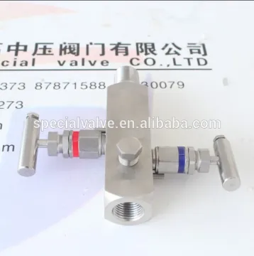 stainless steel 2 way bleed manifold valve manufacturer