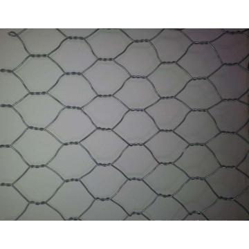 Kandang Ayam PVC Dilapisi Welded Wire Mesh