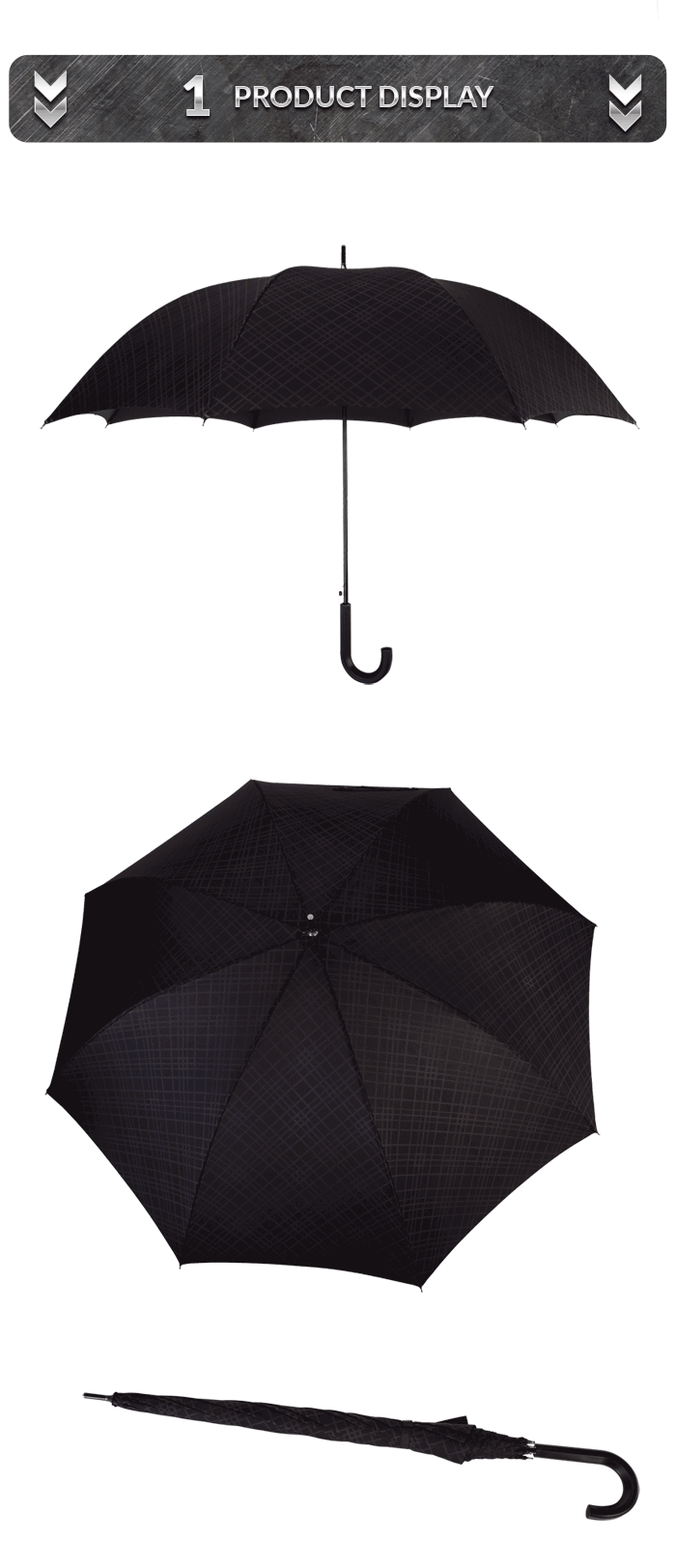 businessman umbrella