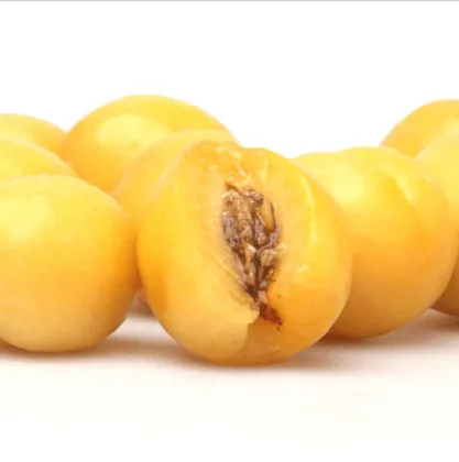 Fresh apricot Organic Fresh apricot