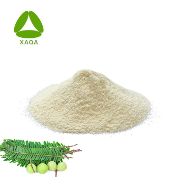 Superfood Natural Supplement 99% Amla Fruit Extract Powder