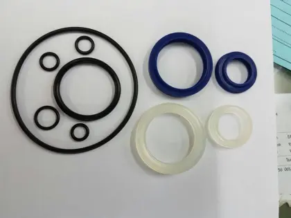 oil seal