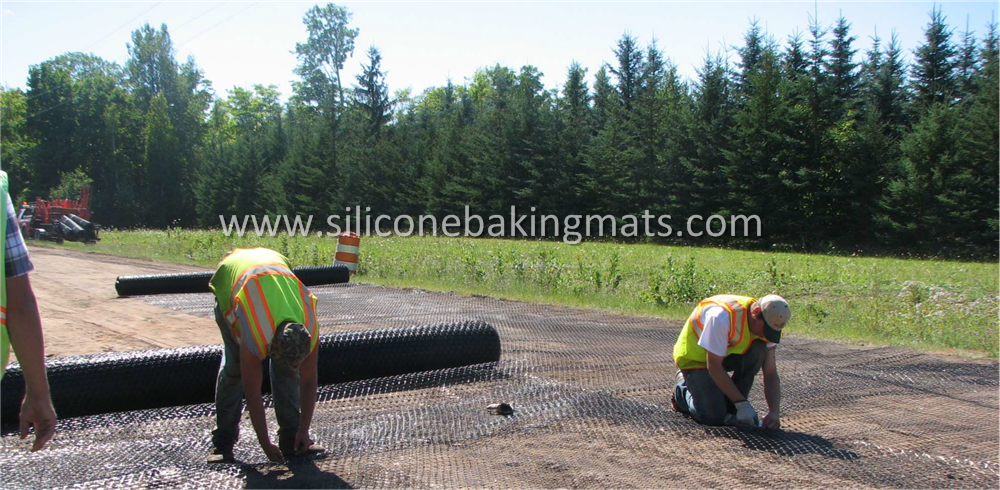 Geogrid Ground Reinforcement