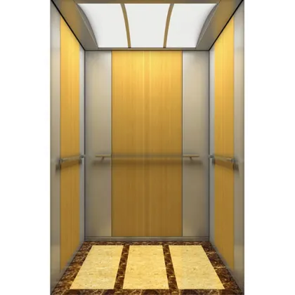 Best Quality Home Elevator Lift VVF Technology
