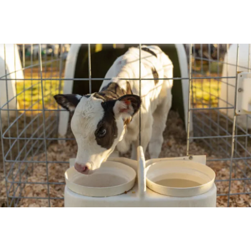 Premium Corn Gluten Feed 18% Boosting Feed Efficiency