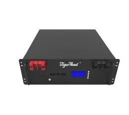 5.12KWH 51.2V 100Ah Racked Mounted LiFePO4 Battery Pack