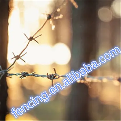 Anping Wire Gauge 1.0mm-3.5mm PE barbed wire