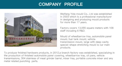 Stamping Die/Tooling/Mould for Auto Parts Mold