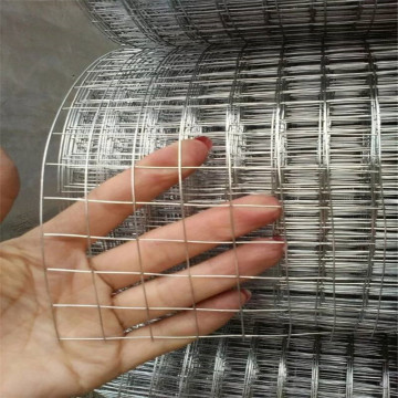 Wire mesh dilas PVC galvanis yang dicelup panas