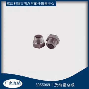 Diesel engine spare part Pipe Plug 3055069