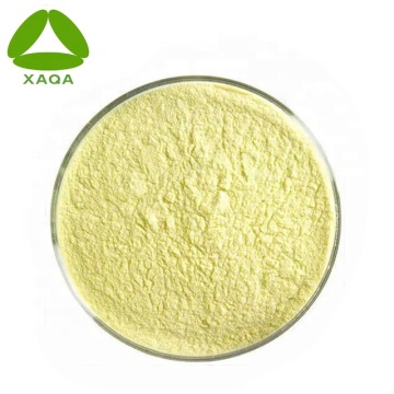 Manggo Leaf Extract 95% Mangiferin Powder Liver Health
