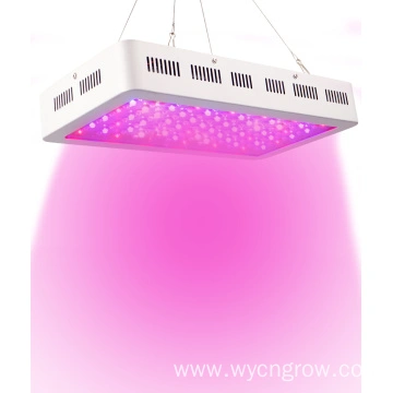 Offer Best Led Grow Lights Diy Led Grow Light Fluorescent Grow
