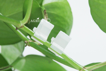 Fruit Vegetable Grafting Clips