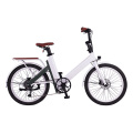 2024 New Folding E-Bike: The Electric Foldable Bicycle for Modern Travel