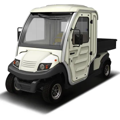 Electric Utility Vehicles for Elderly in EG Chinatown Neighborhood