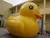 popular inflatable yellow duck/best selling inflatable duck