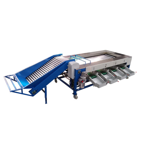 Potato sweet potato fruit vegetable drum sorting machine