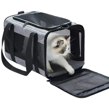 Portable Foldable Breathable Mesh Dog and Cat Carrier Bag: Customized Pet Outfitting Solution