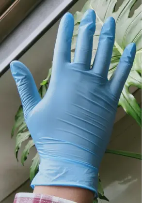 nitrile powder free blue gloves nitrile gloves