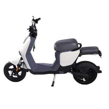 Adult Electric Moped: 48V-60V 350W-500W Two-Seater Scooter
