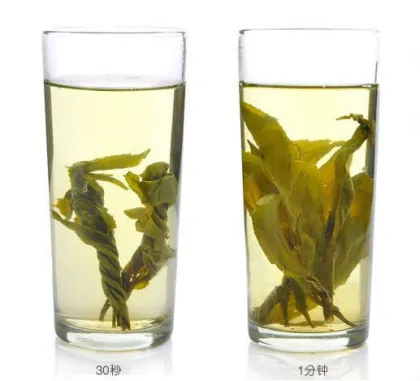 Healthy Broadleaf Holly Leaf Ku Ding Tea Bitter Tea