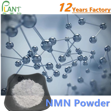 Nicotinamide Mononucleotide NMN 99% powder