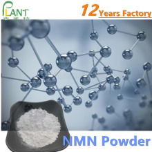 Mononucleótido de nicotinamida NMN 99% en polvo