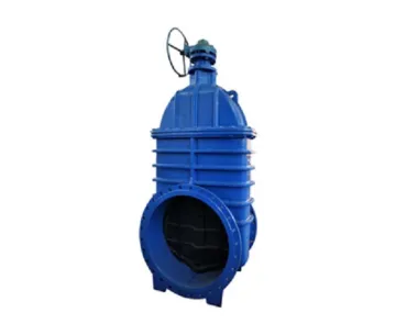 CAST IRON GATE VALVES 20