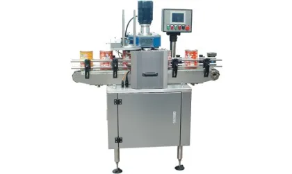 Automatic Vacuum Packaging and Sealing Machine
