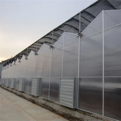 Multi-span PC Board Plastic Greenhouse