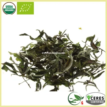 Lightly oxidized White Hair Silver Needle White Tea Best White Tea Brands