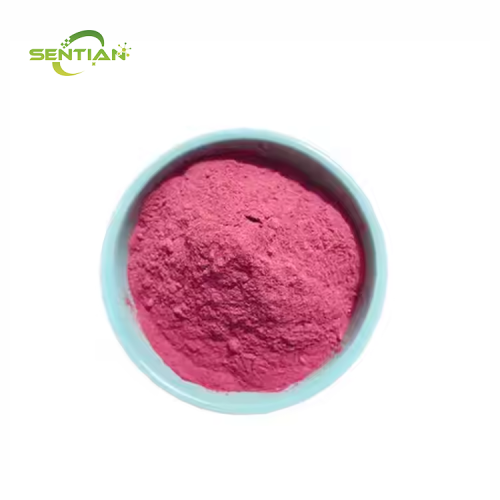 Pure Natural High Quality Cranberry Powder Cranberry Fruit Powder Cranberry Juice Powder