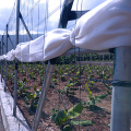 Single-Span+Greenhouse+Transparent%2FBlack+Polyester+Wire