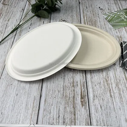 Biodegradable plates and screws plate 10'' Oval Plate