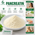 Aplicaciones farmacéuticas de apoyo digestivo del polvo de enzima pancreatina