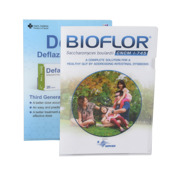 PVC L-Shaped Document Folder for A4 Size Documents