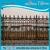 Aluminum or wrought iron fence for plant