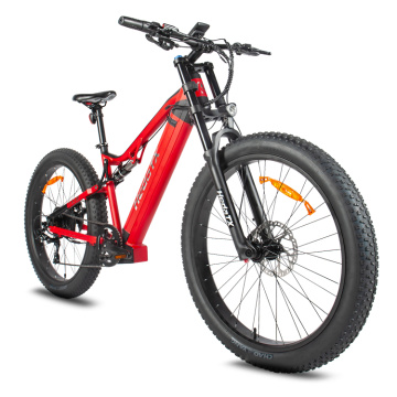 Las bicicletas de montaña de neumáticos gordos para hombres y mujeres.