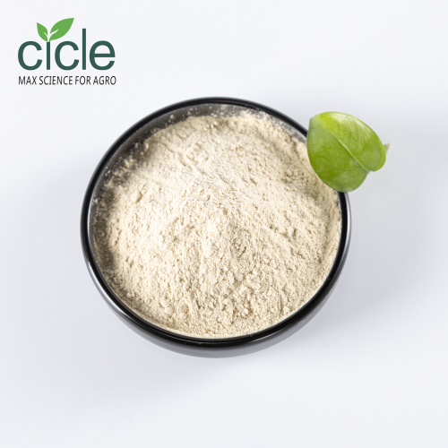 Alginate Oligosaccharide AOS Powder